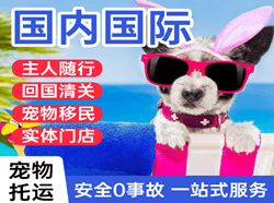 郑州空运代理国际宠物托运 【国